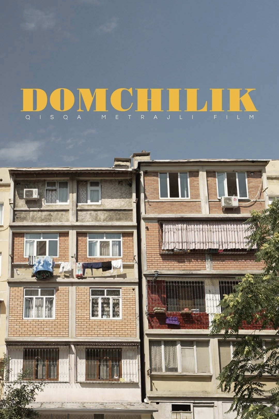Domchilik (2024) poster