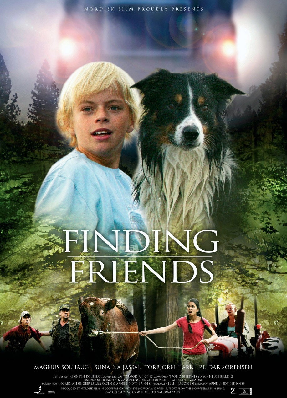 Finding Friends (2005) poster