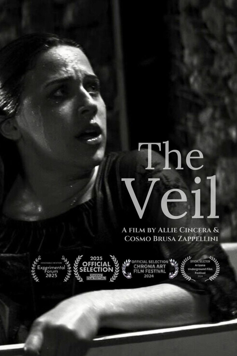 The Veil (2024) poster