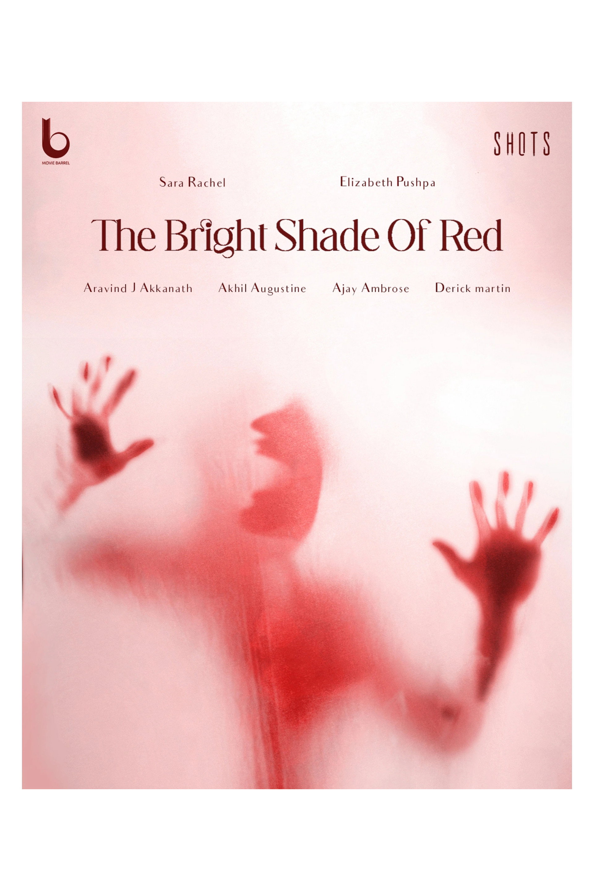 The bright shade of red (2026) poster
