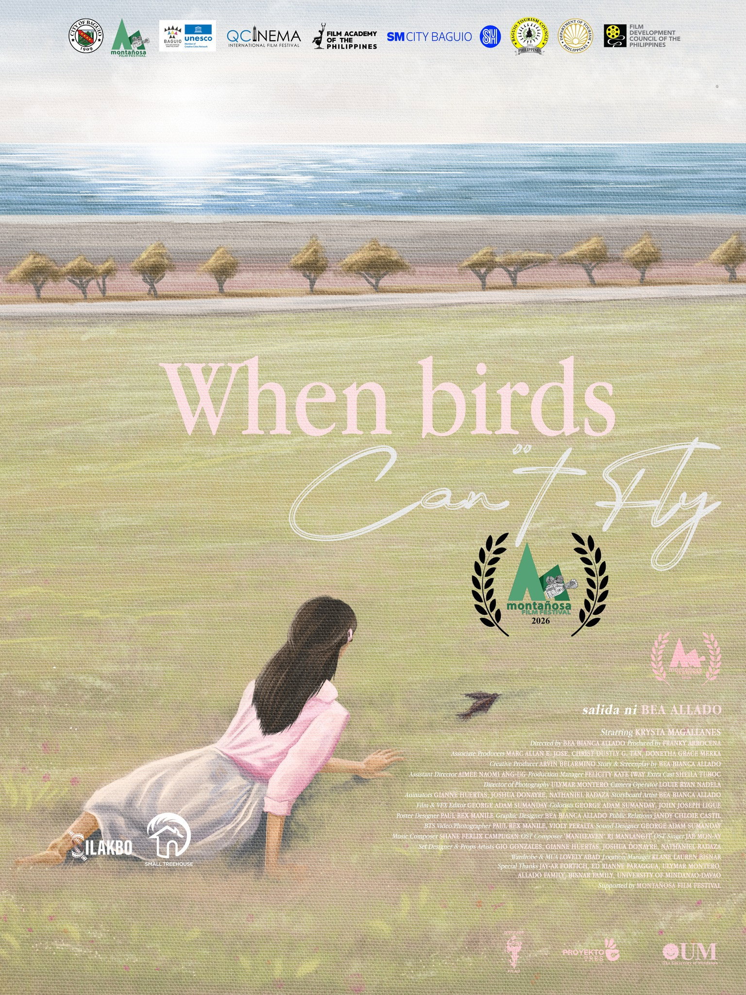 When Birds Can't Fly (2026) poster