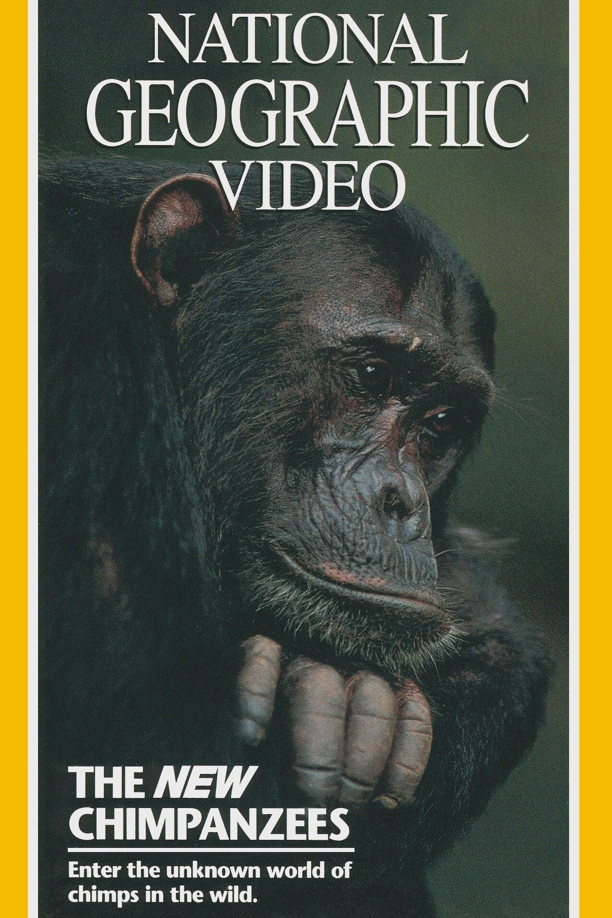 The New Chimpanzees (1995) poster