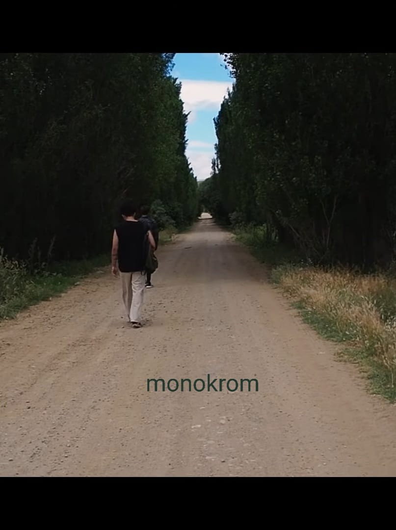 Monokrom (2026) poster