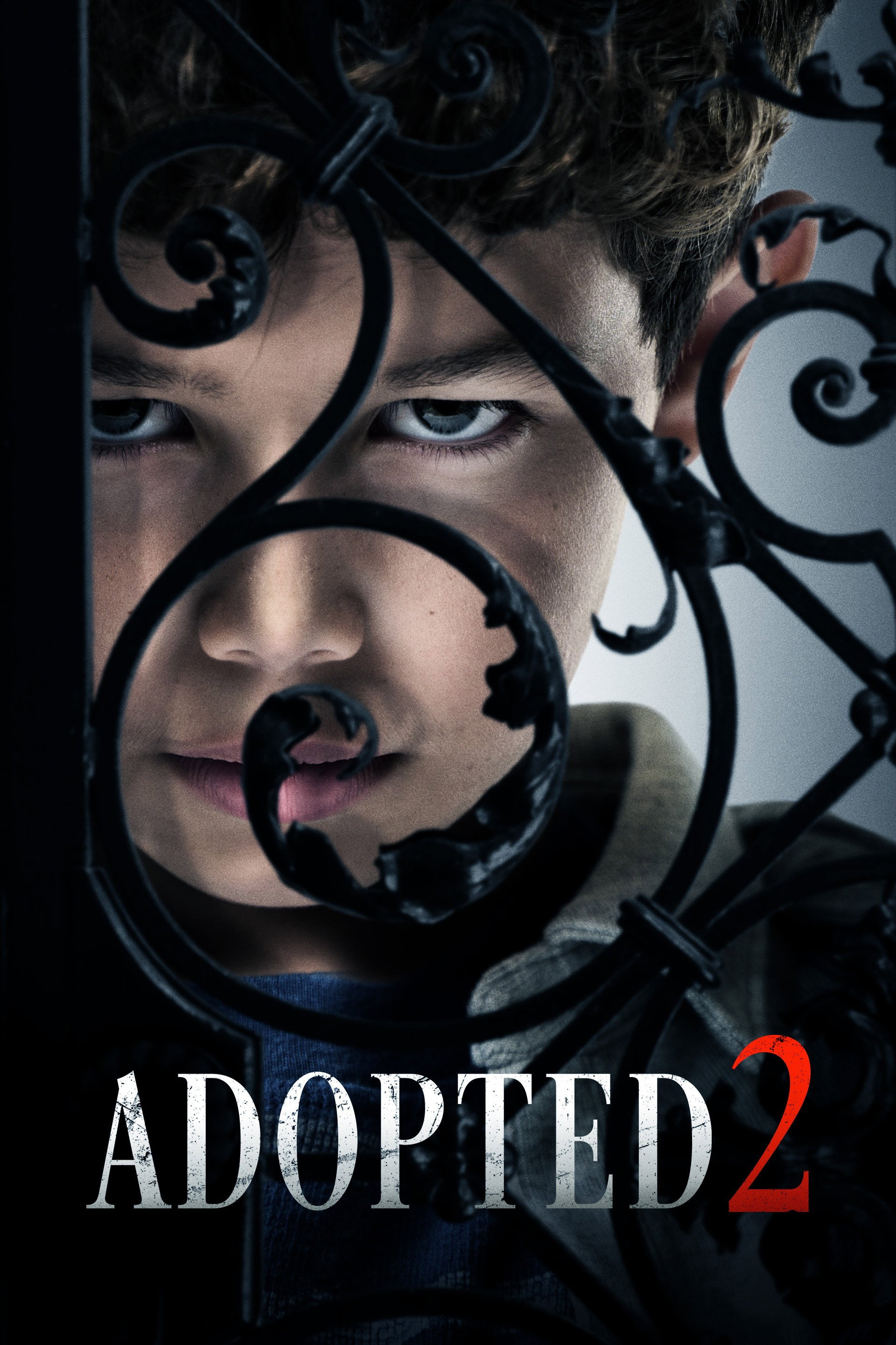 Adopted 2 (2025) poster