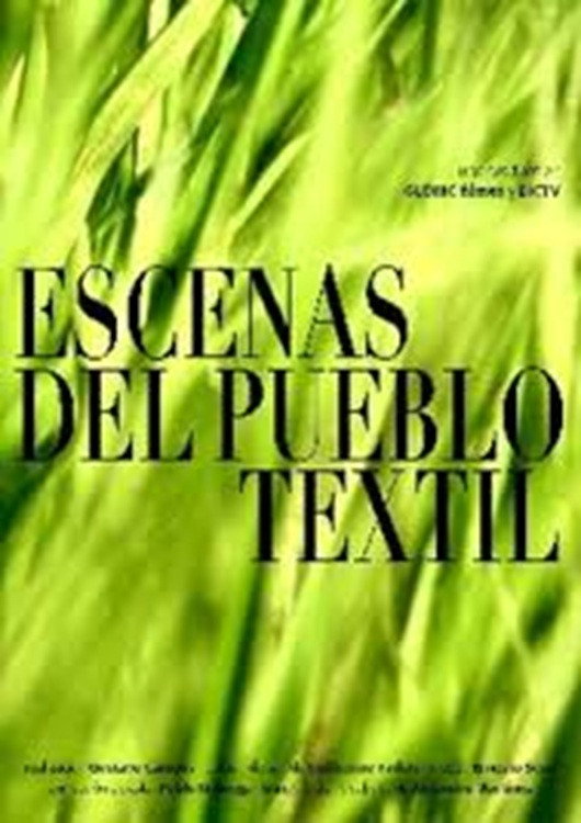 Escenas del pueblo textil (2025) poster