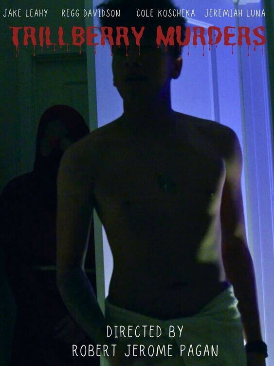 Trillberry Murders (2024) poster