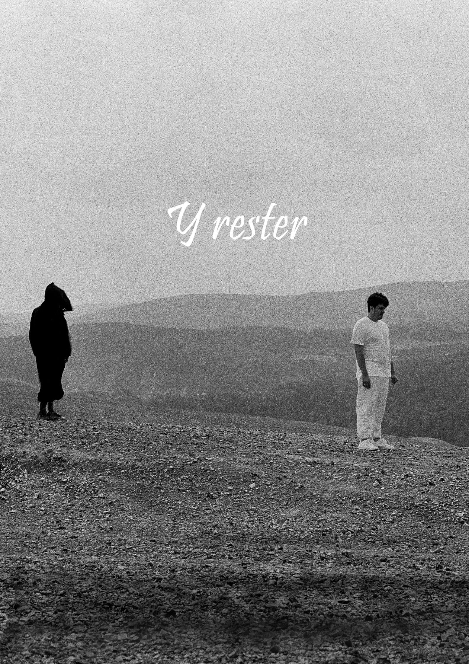 Y rester (2024) poster