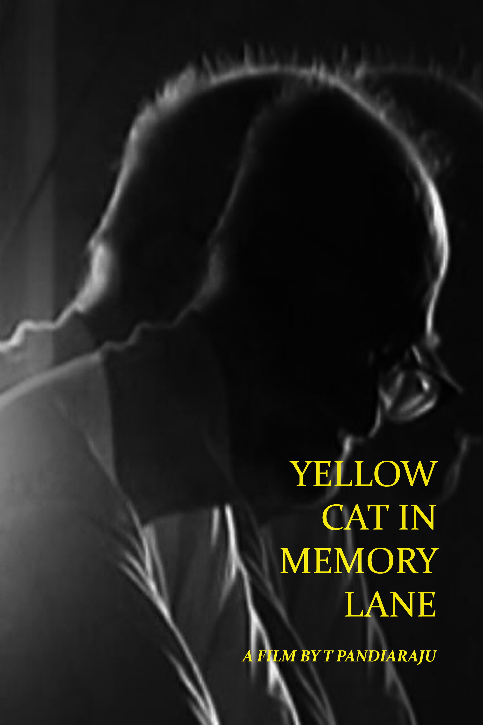 Yellow Cat in Memory Lane (2023) poster