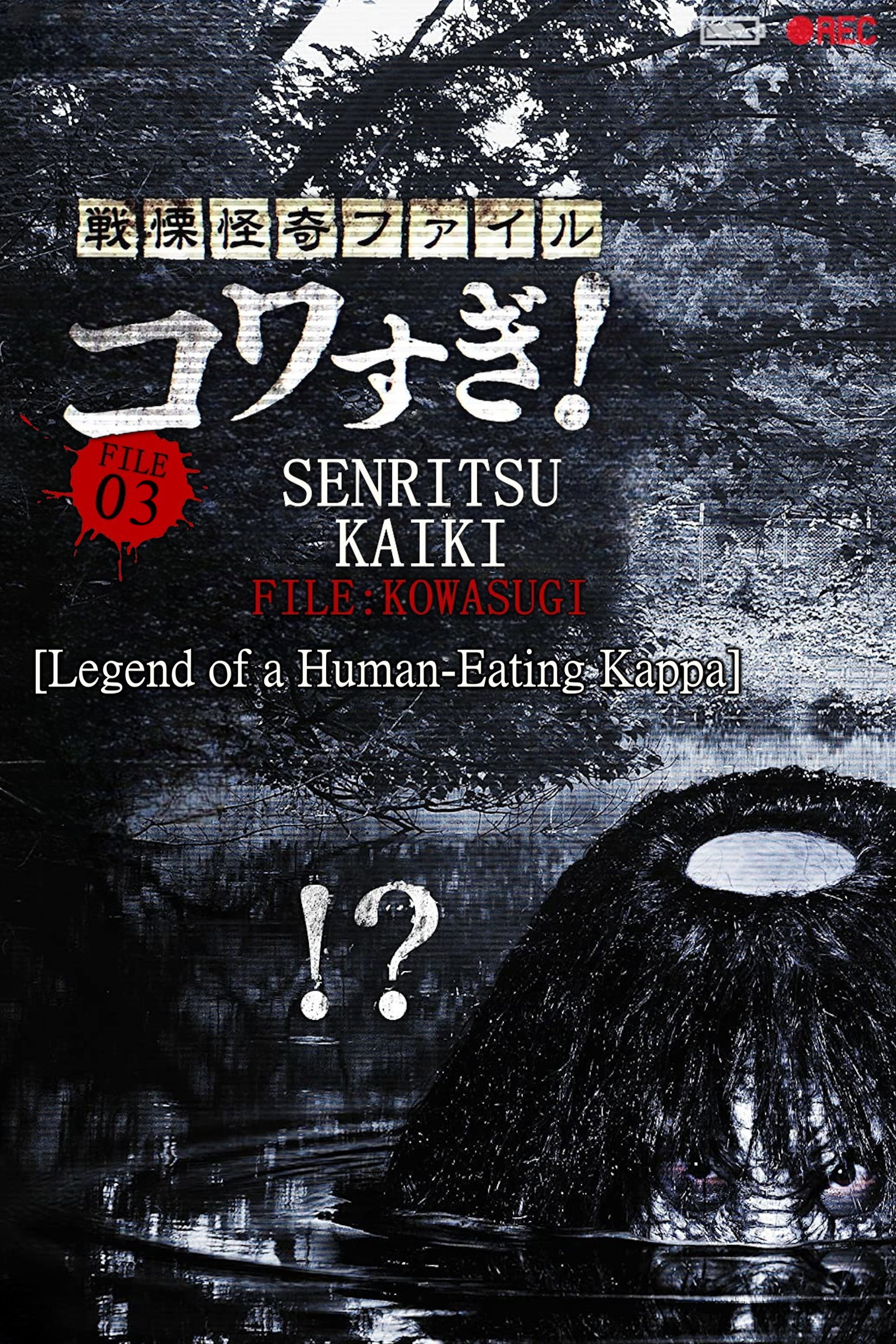 Senritsu Kaiki File Kowasugi! File 03: Legend of a Human-Eating Kappa (2013) poster