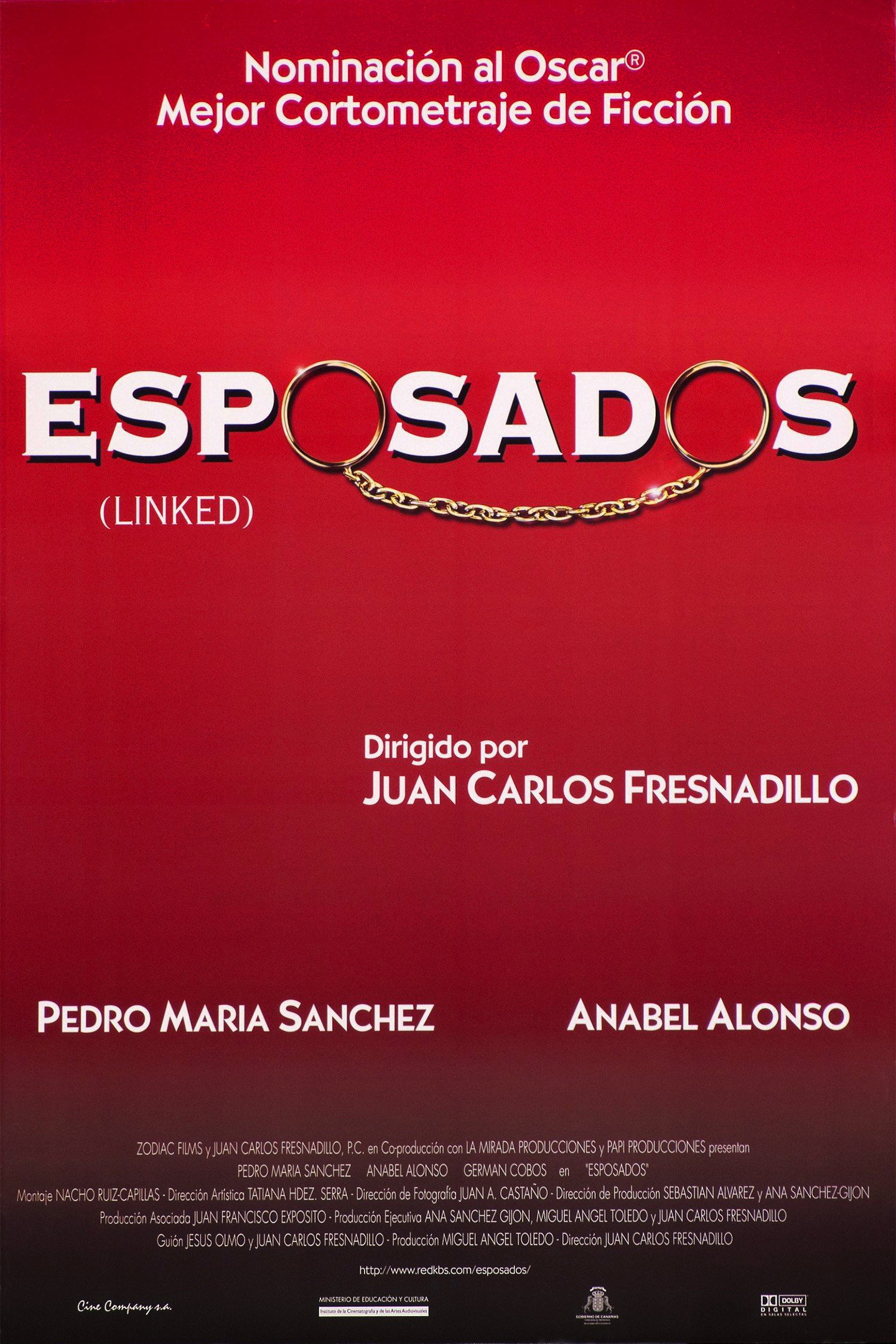 Linked (1996) poster