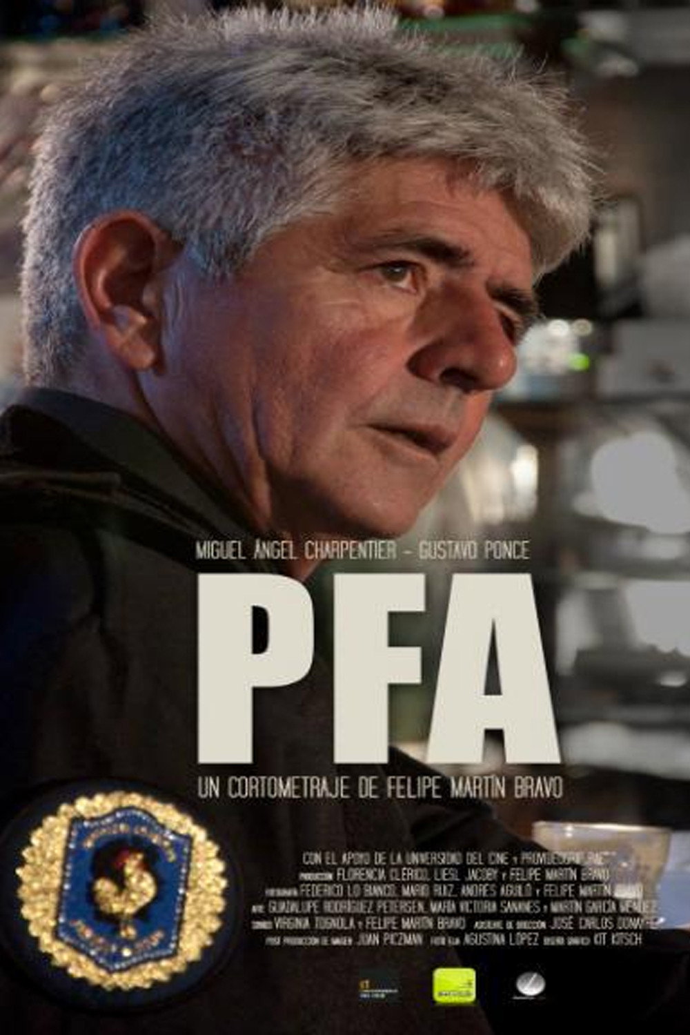 PFA (2014) poster