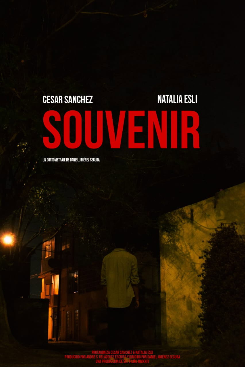 Souvenir (2024) poster