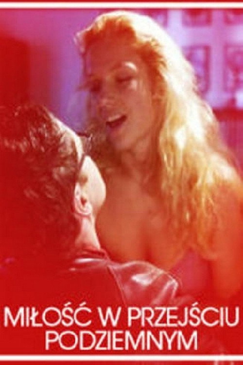 Love in an Underground Passage (2007) poster