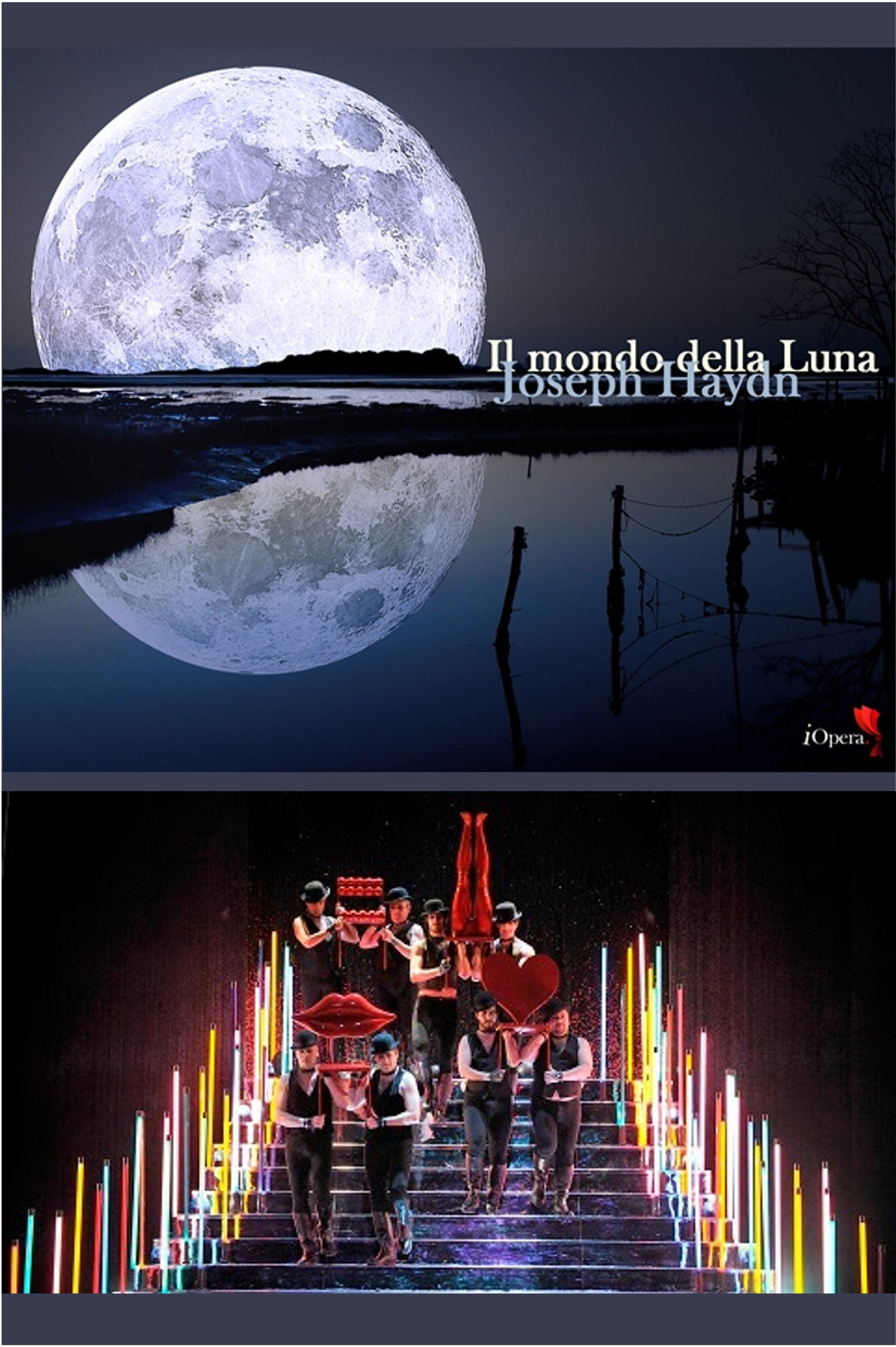 Il Mondo della Luna (2014) poster