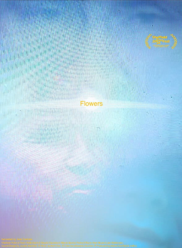 Flowers (2024) poster