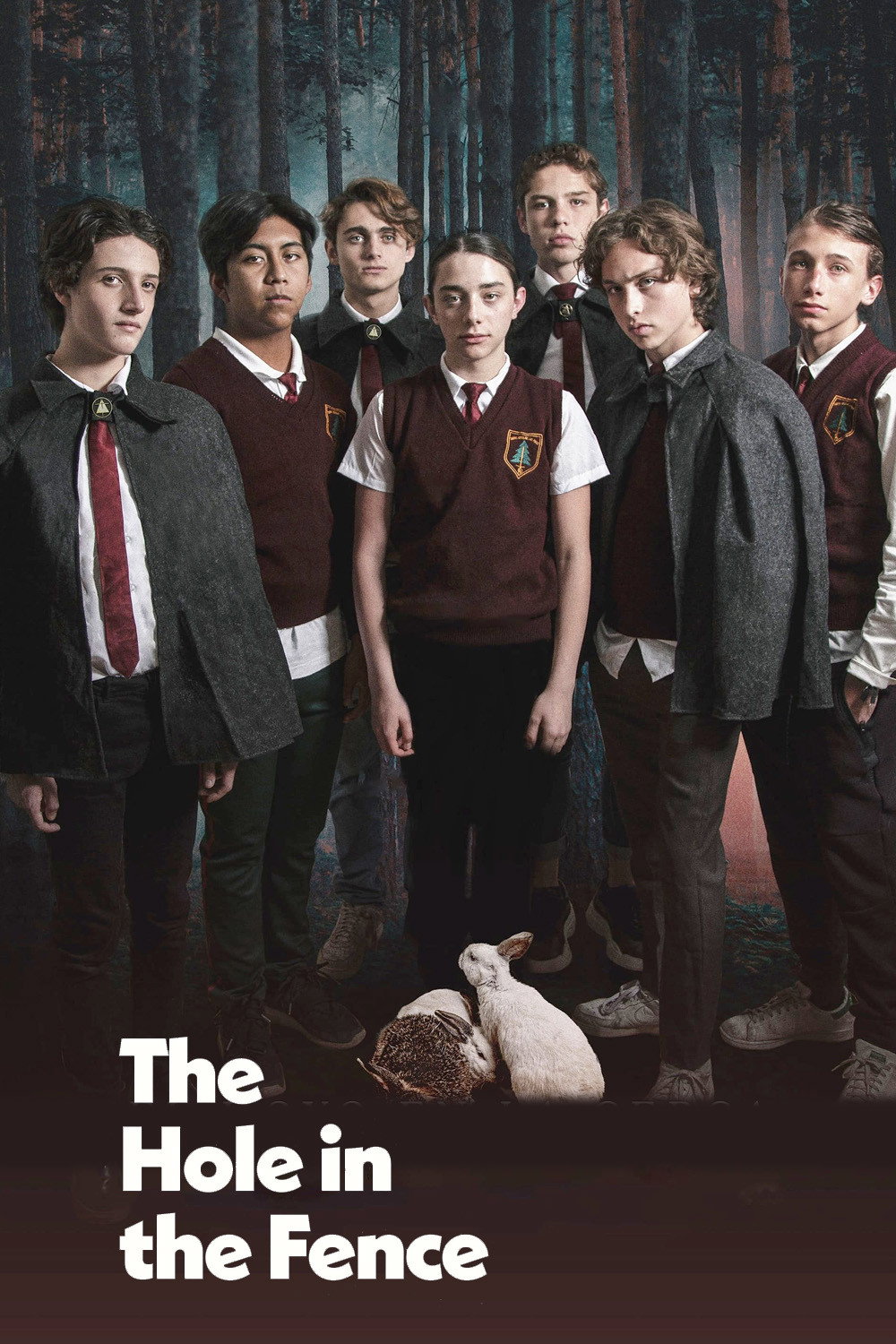 The Hole in the Fence (2021) poster