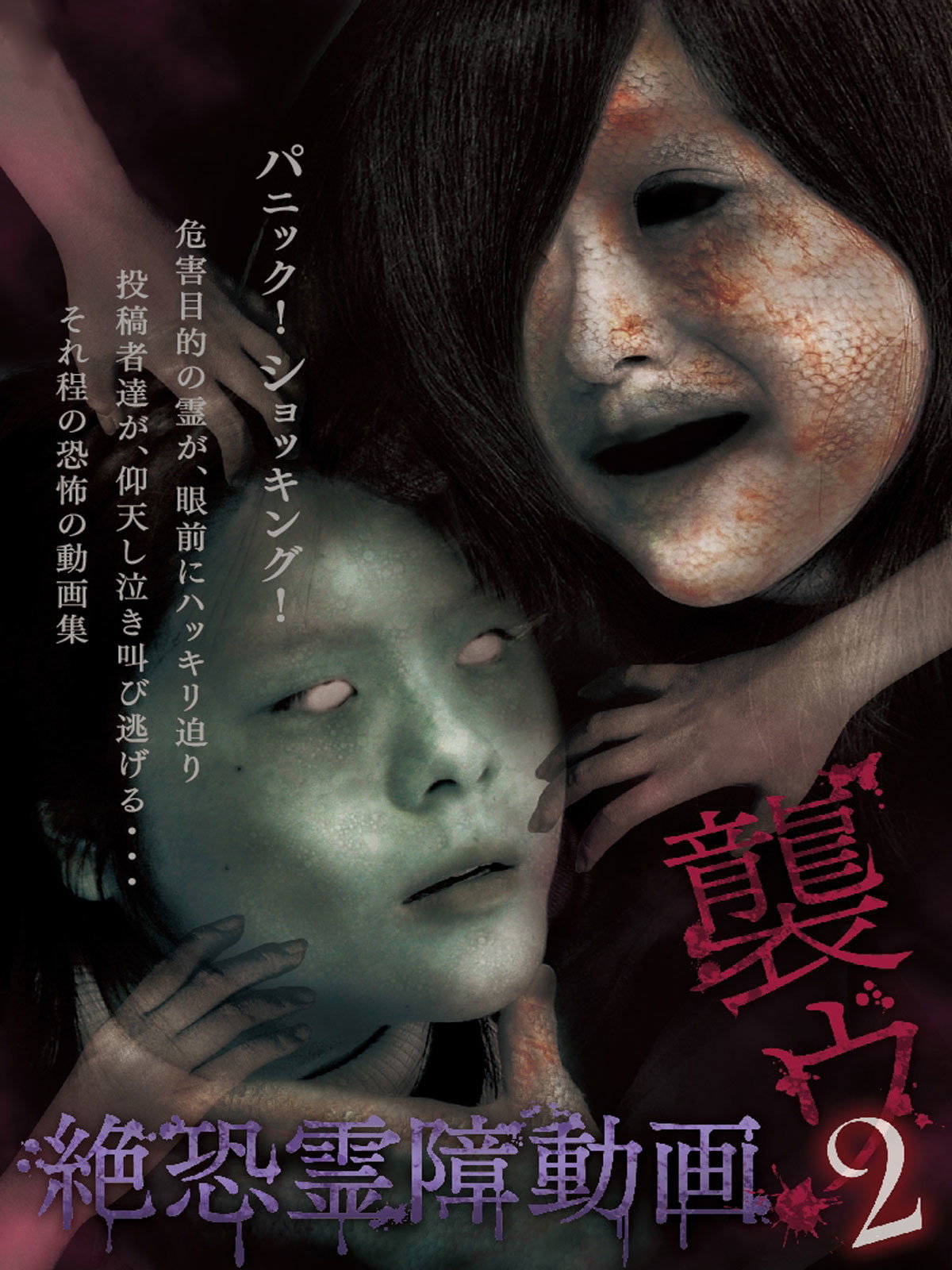 Terrifying Spirit Disturbance Video: Attack 2 (2014) poster
