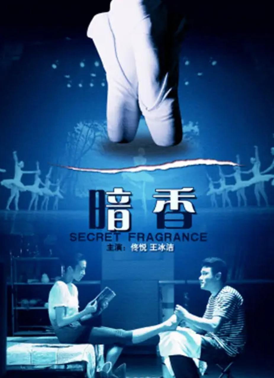 暗香 (2010) poster