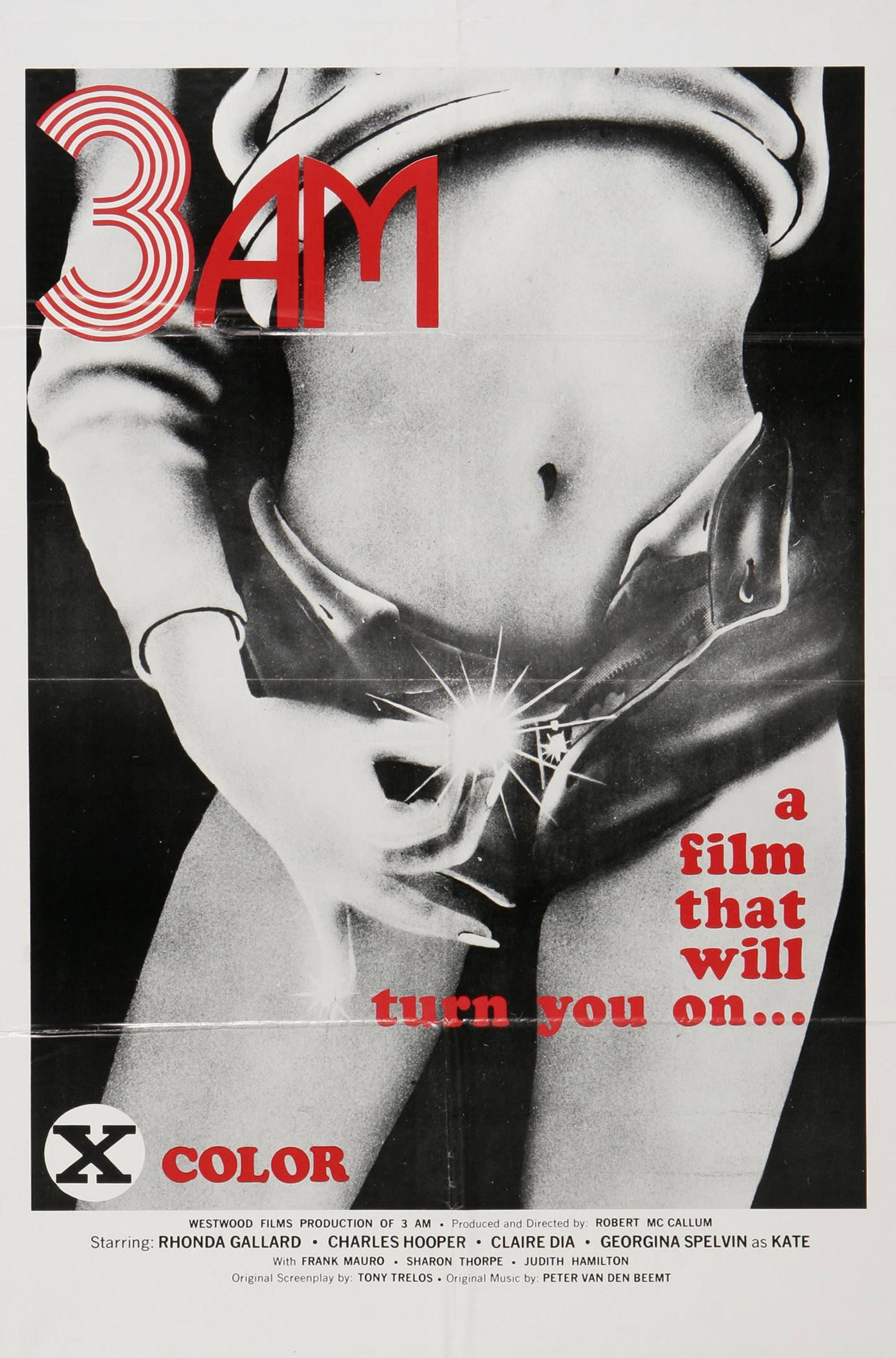 3 A.M. (1975) poster