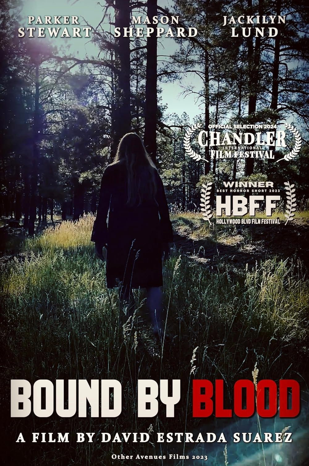 Bound by Blood (2024) poster