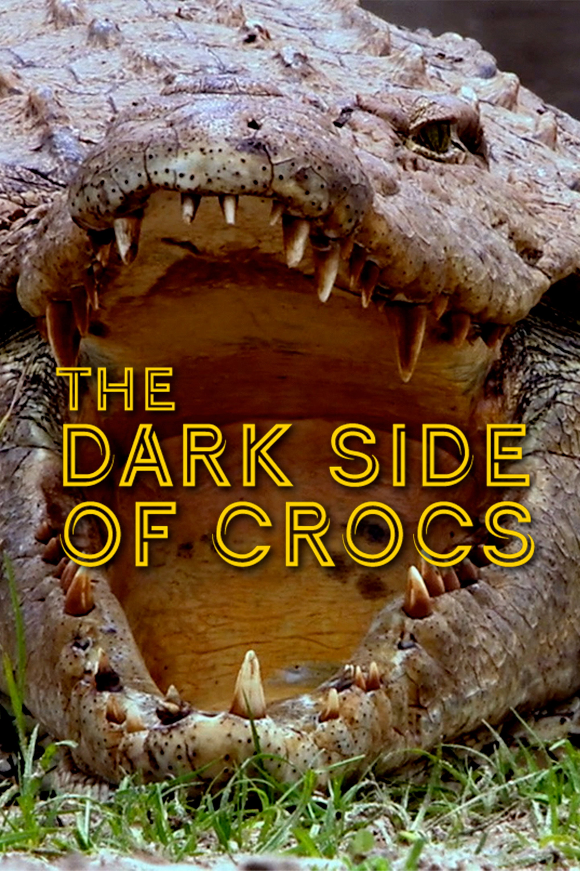 Dark Side of Crocs (2015) poster