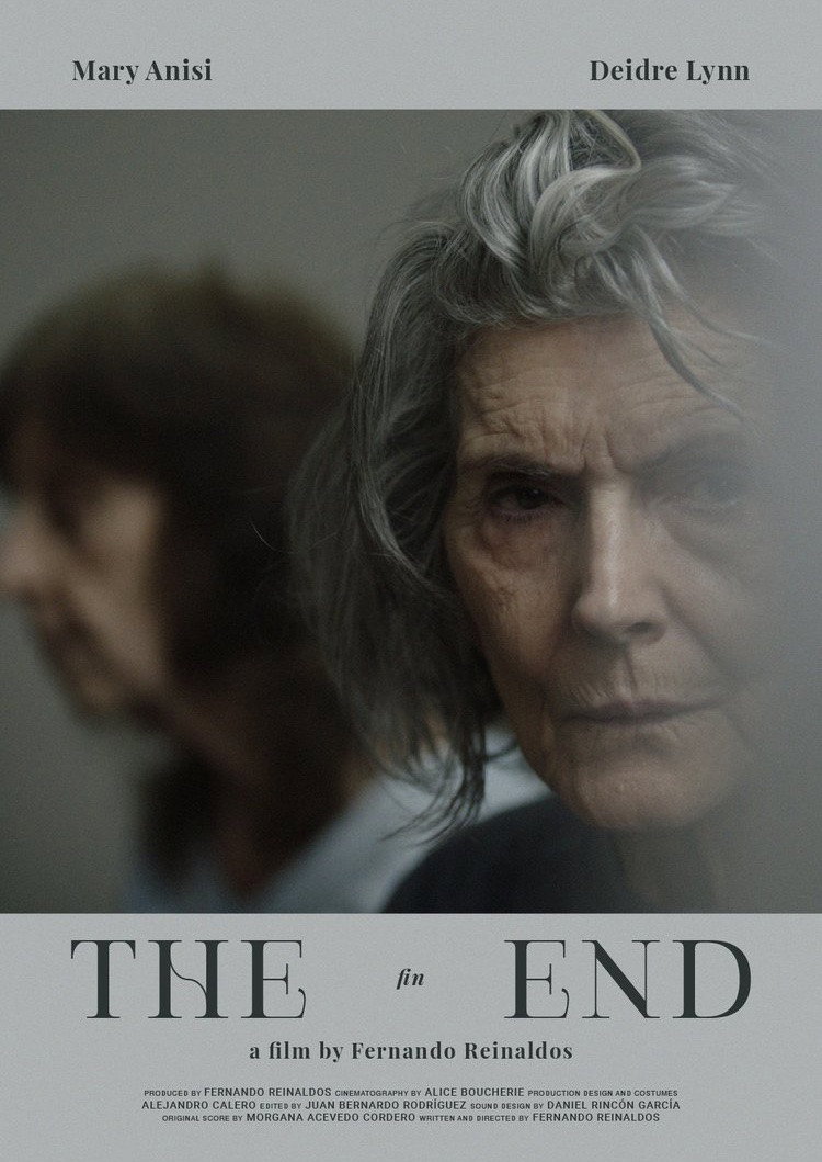 Fin (2023) poster
