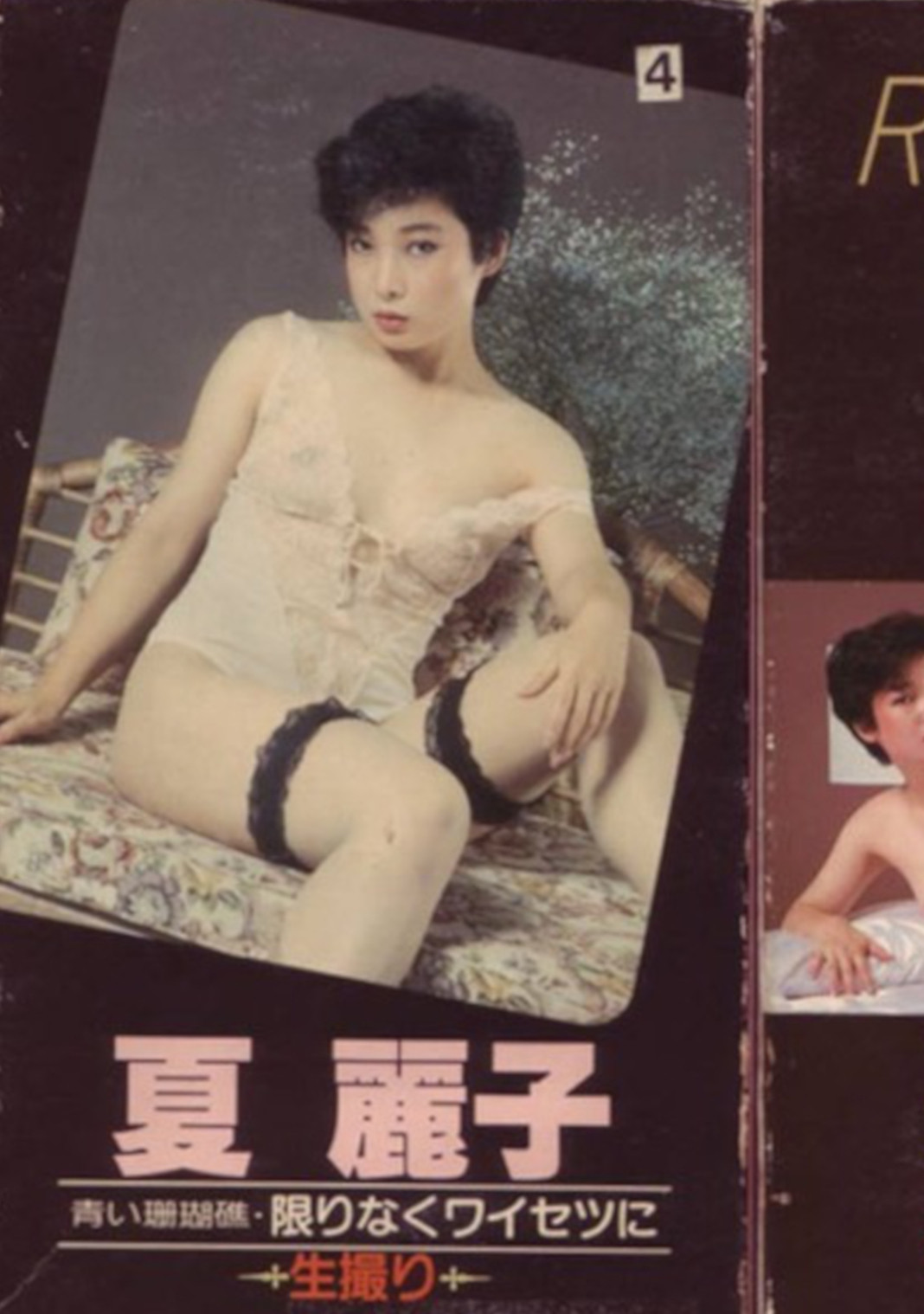Aoi sangoshō kagirinaku waisetsu ni ikedori (1982) poster
