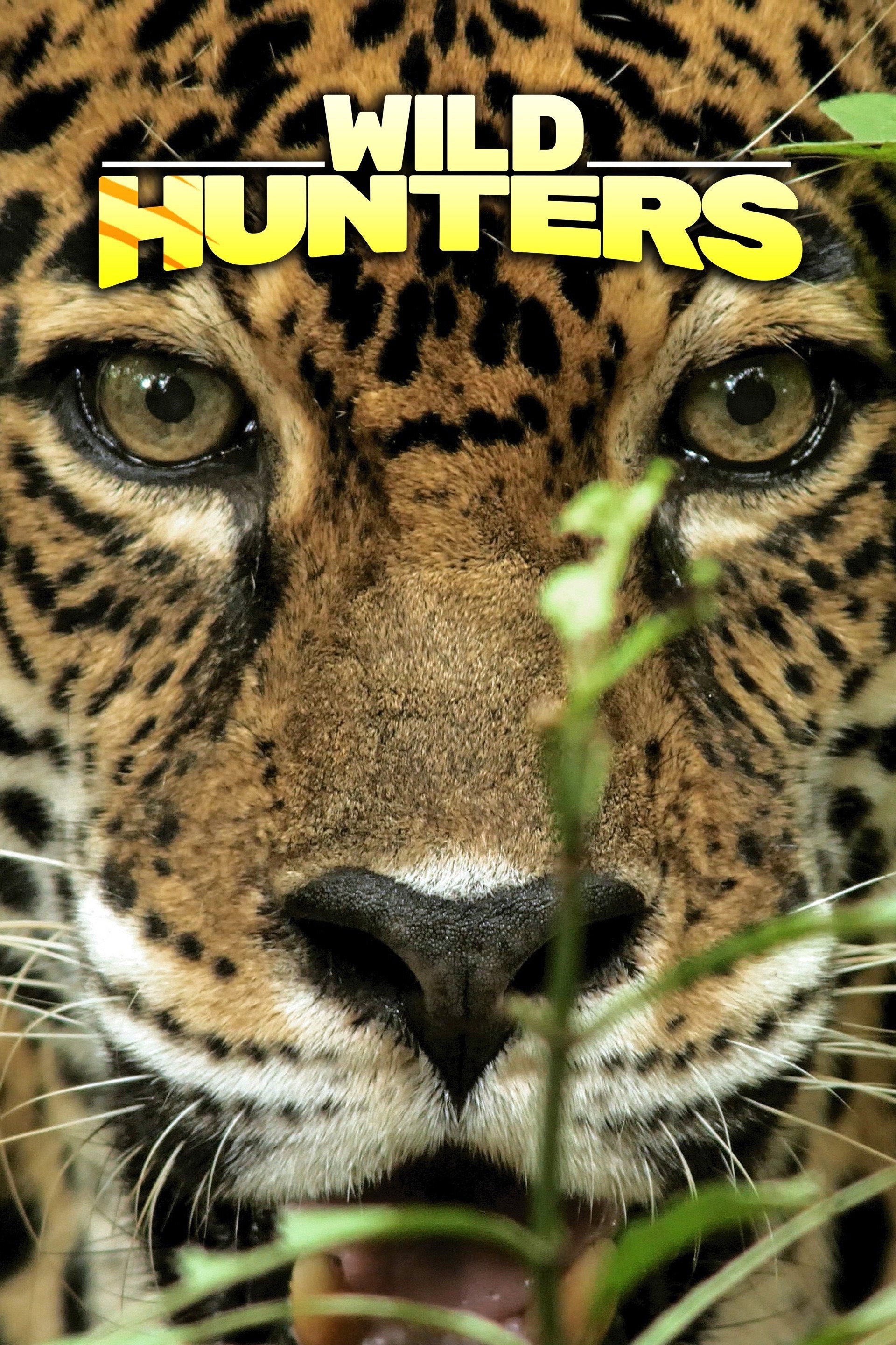 Wild Hunters (2019) poster