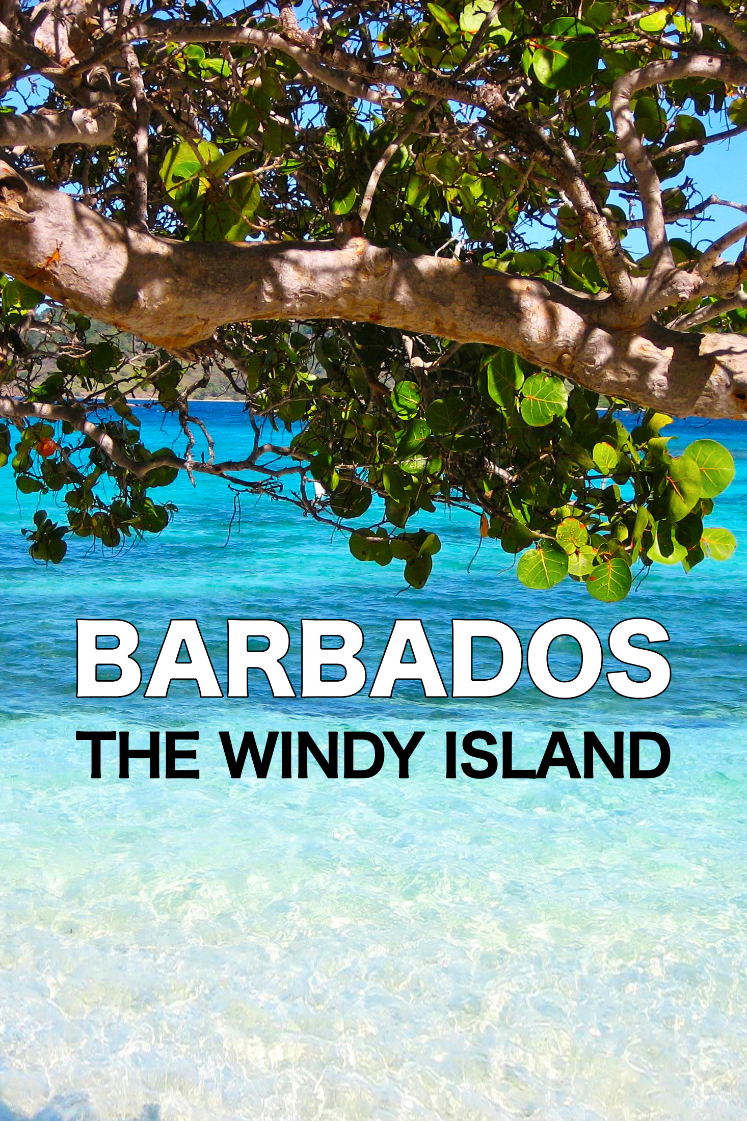 Barbados the Windy Island (2022) poster