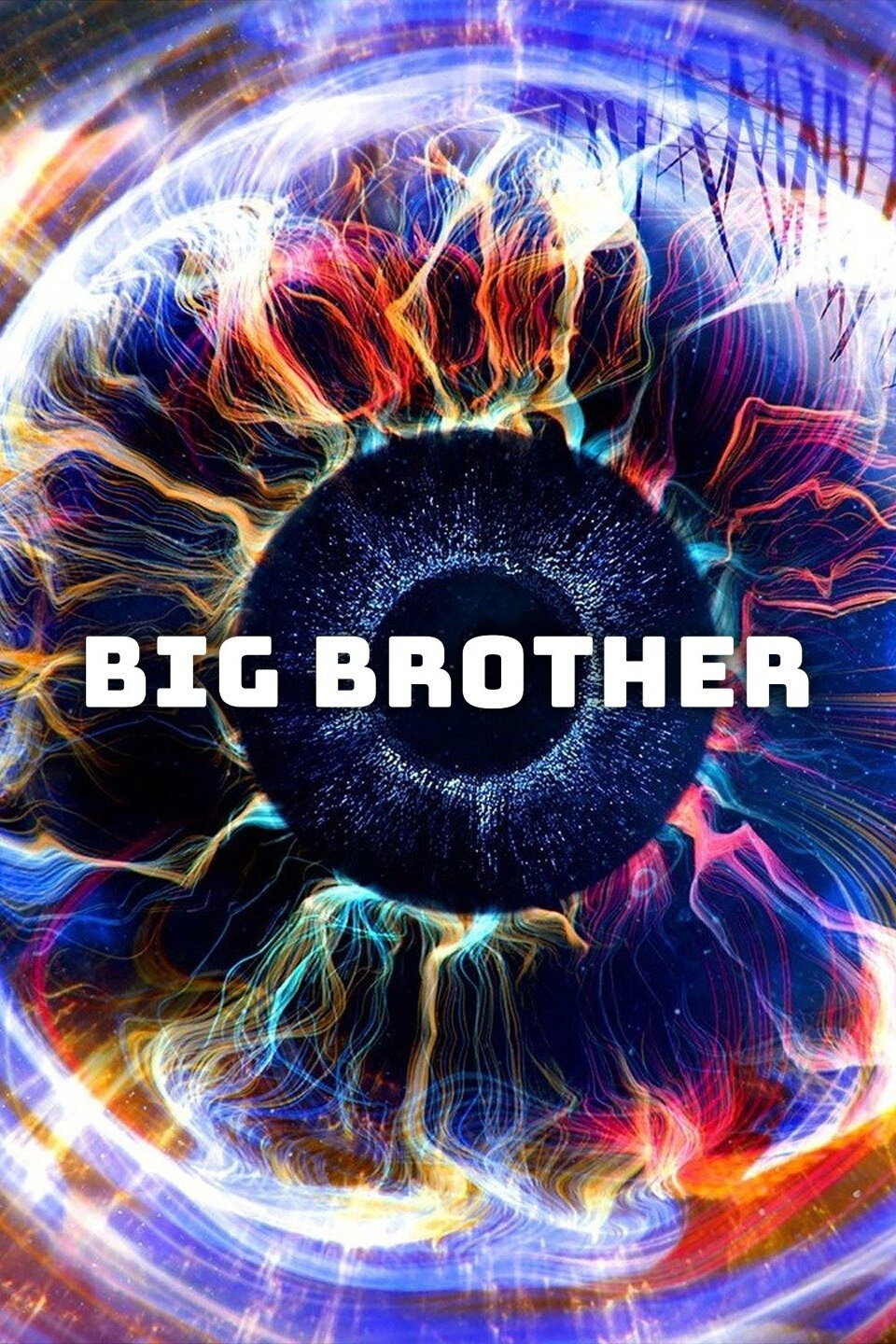 Big Brother (2000) poster