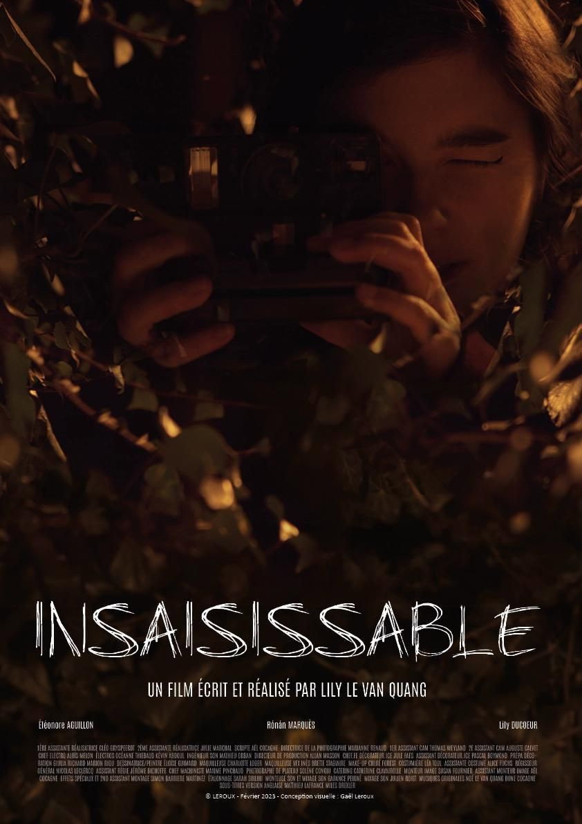 Insaisissable (2026) poster