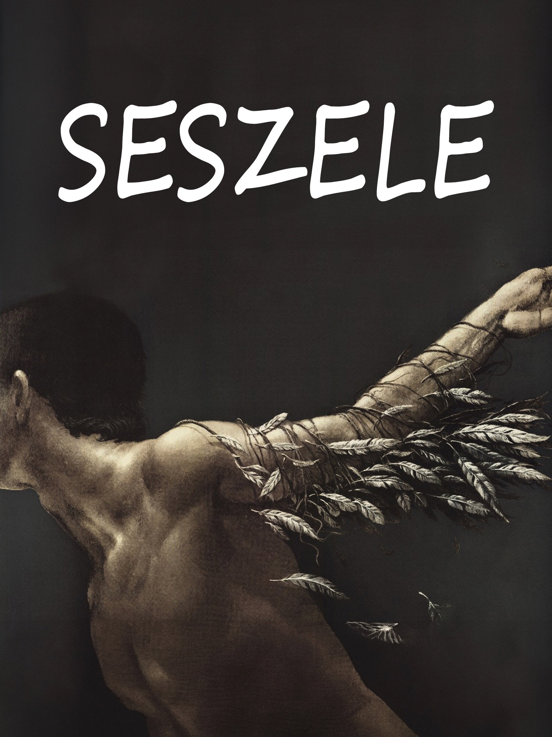 Seychelles (1991) poster