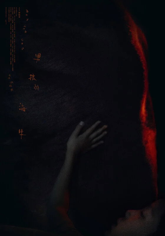 Boy meets Cow (2026) poster