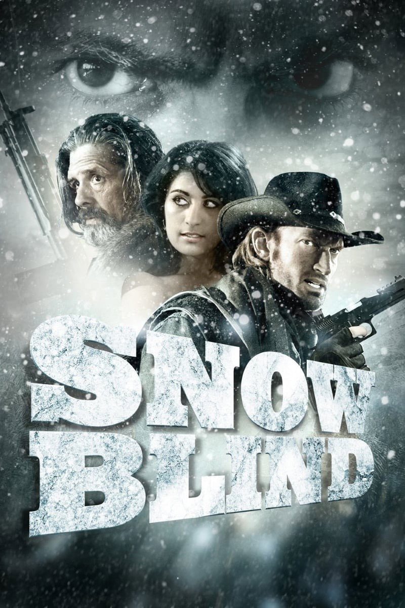 Snowblind (2010) poster