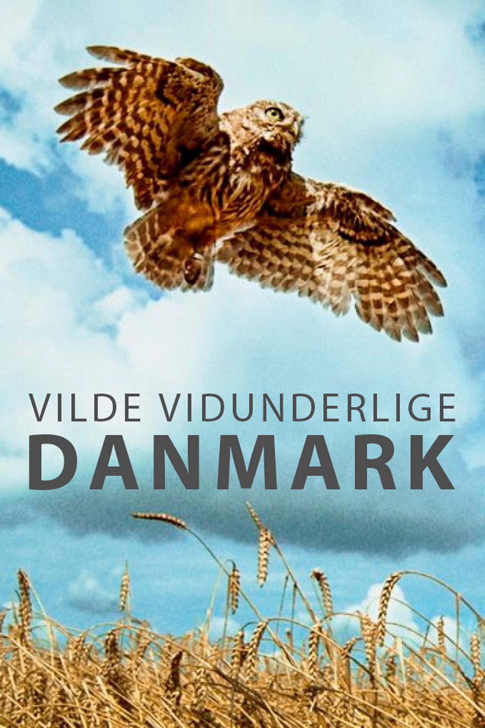 Wild and Wonderful Denmark (2020) poster