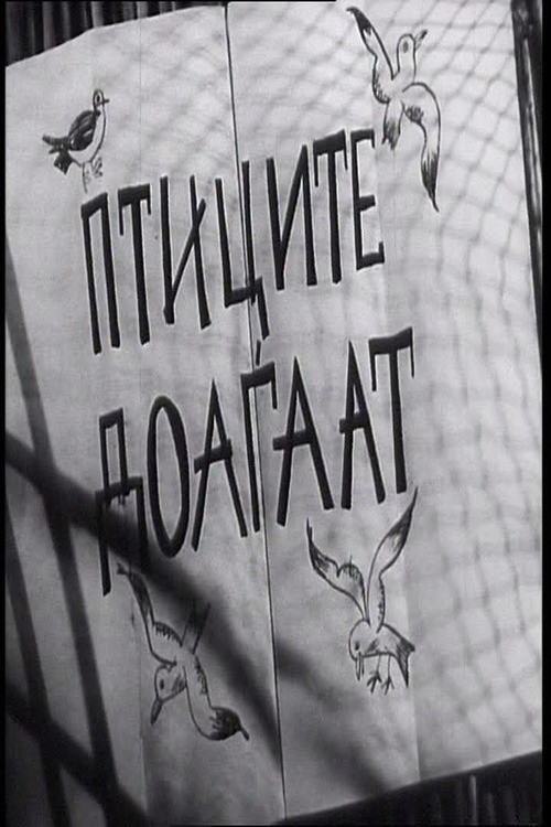 The Birds Are Coming (1956) poster