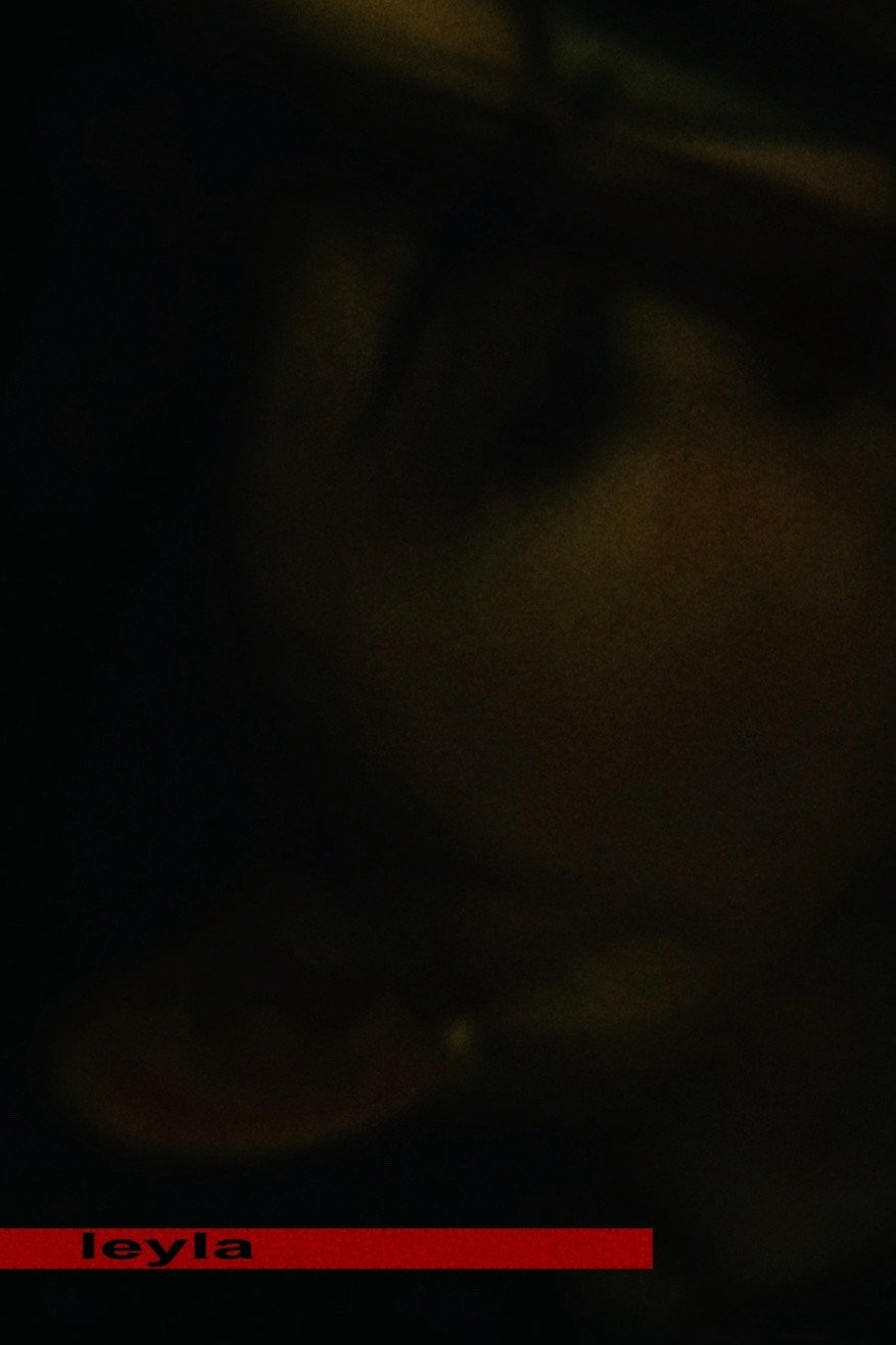 Leyla (2019) poster
