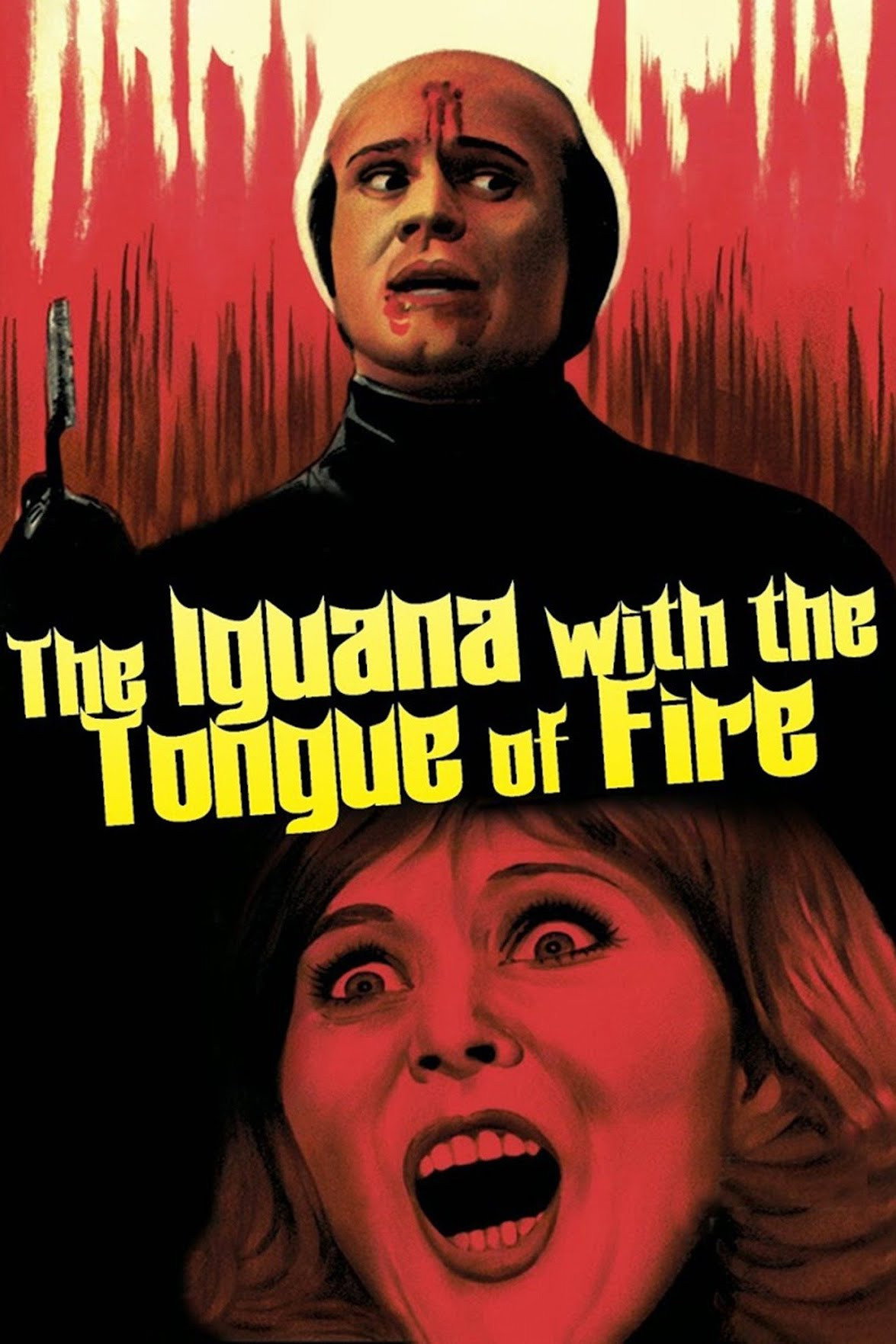 The Iguana with the Tongue of Fire (1971) poster
