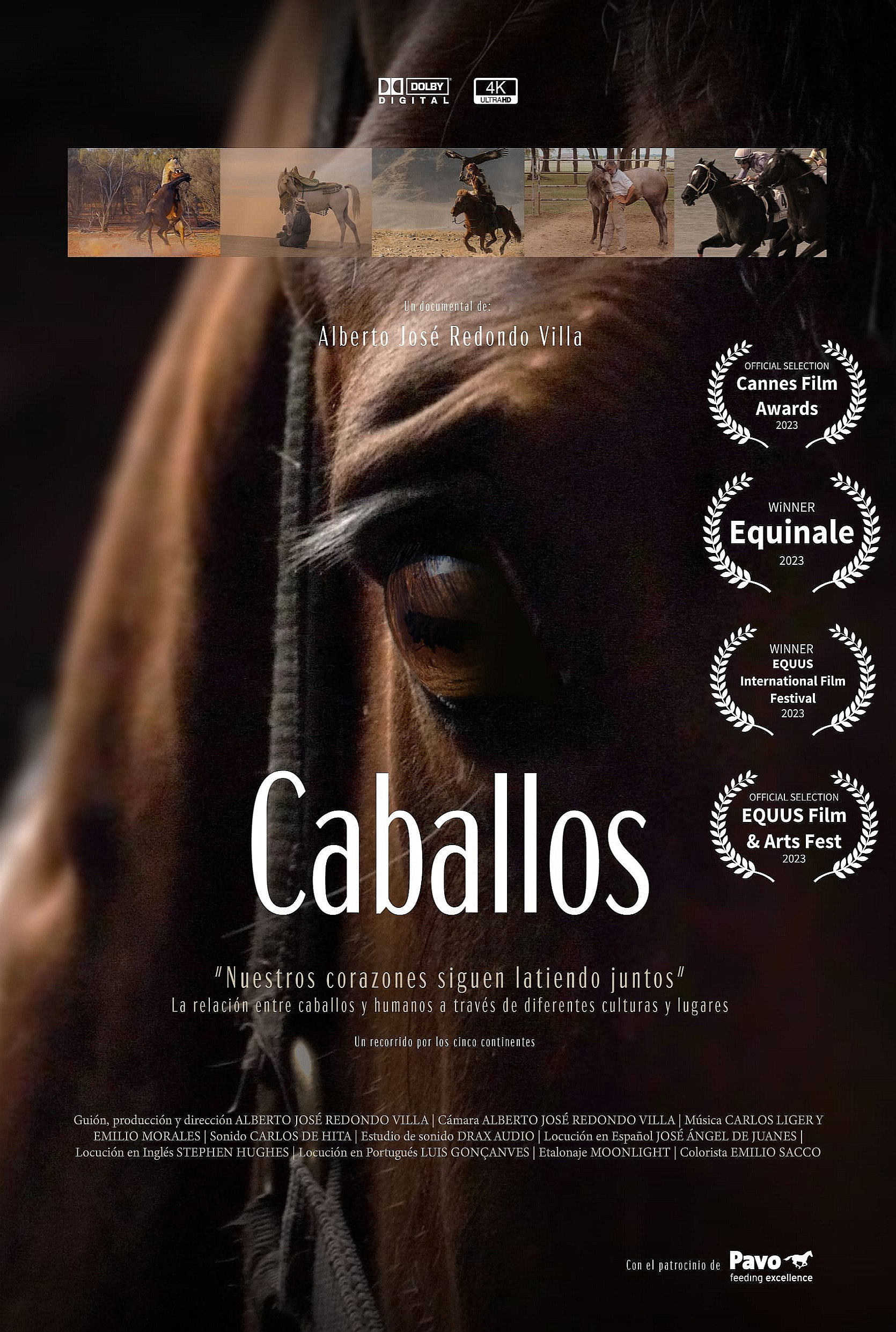 Caballos (2026) poster