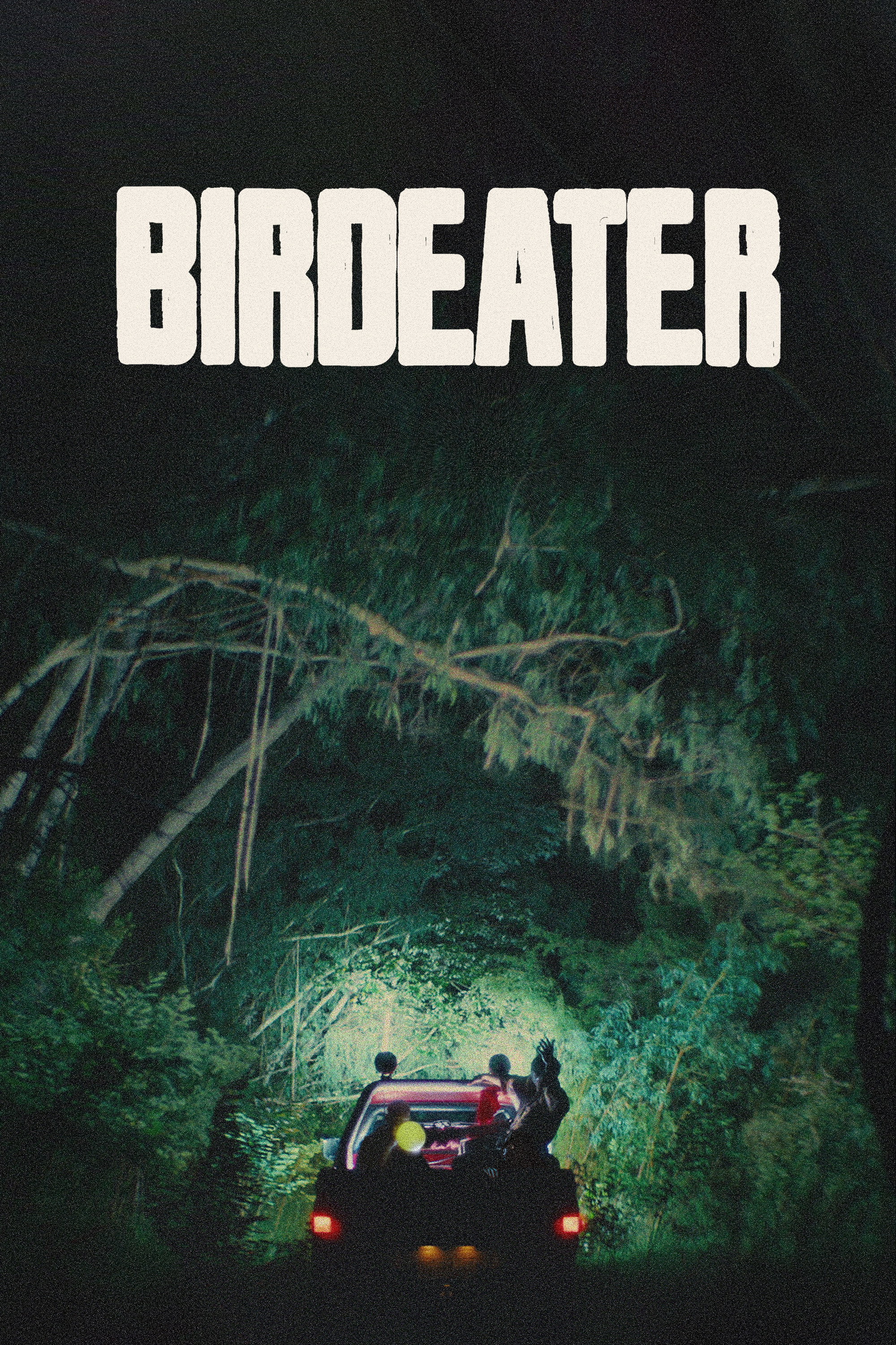 Birdeater (2024) poster