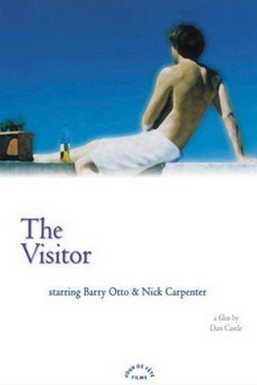 The Visitor (2002) poster