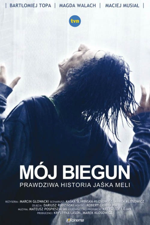 My Own Pole (2013) poster