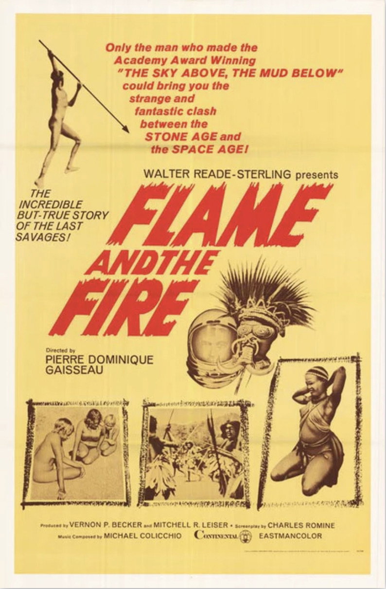 Flame and the Fire (1966) poster