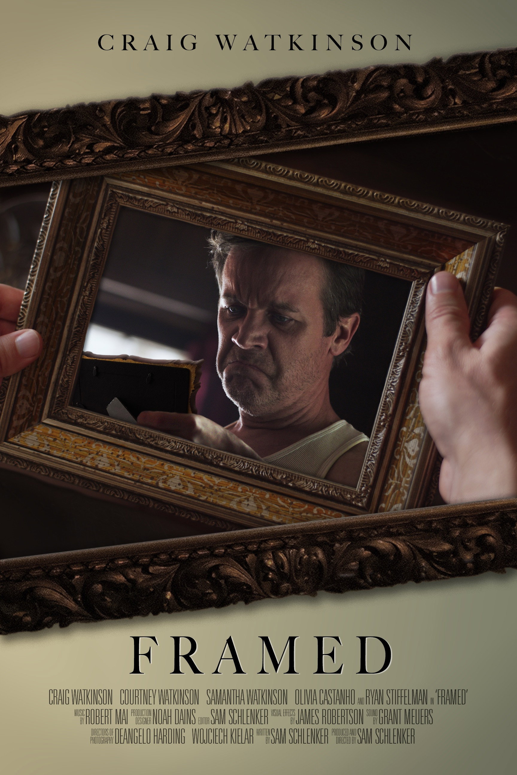 Framed (2023) poster