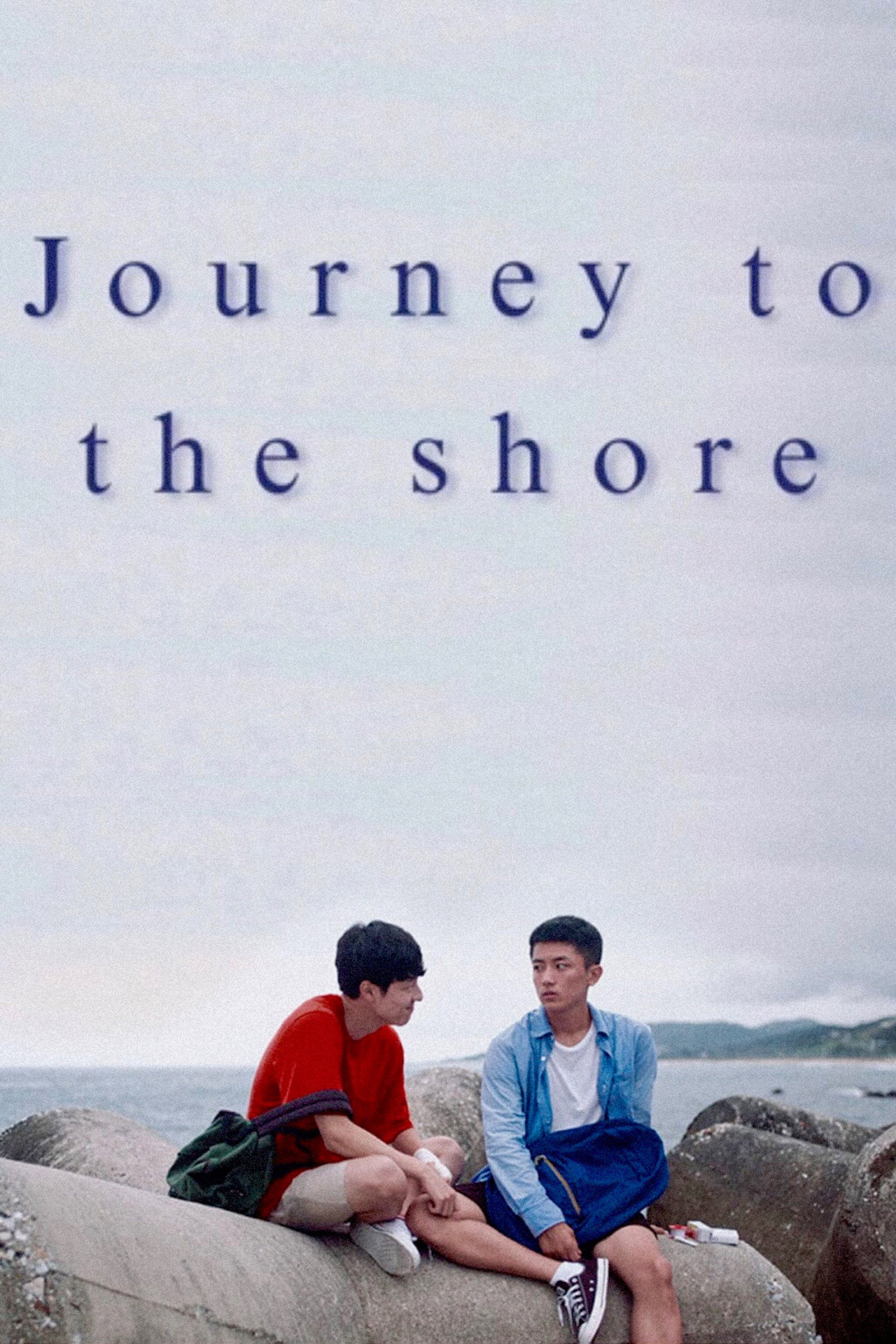 Journey to the Shore (2020) poster