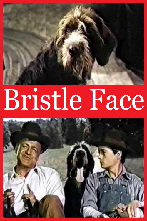 Bristle Face (1964) poster