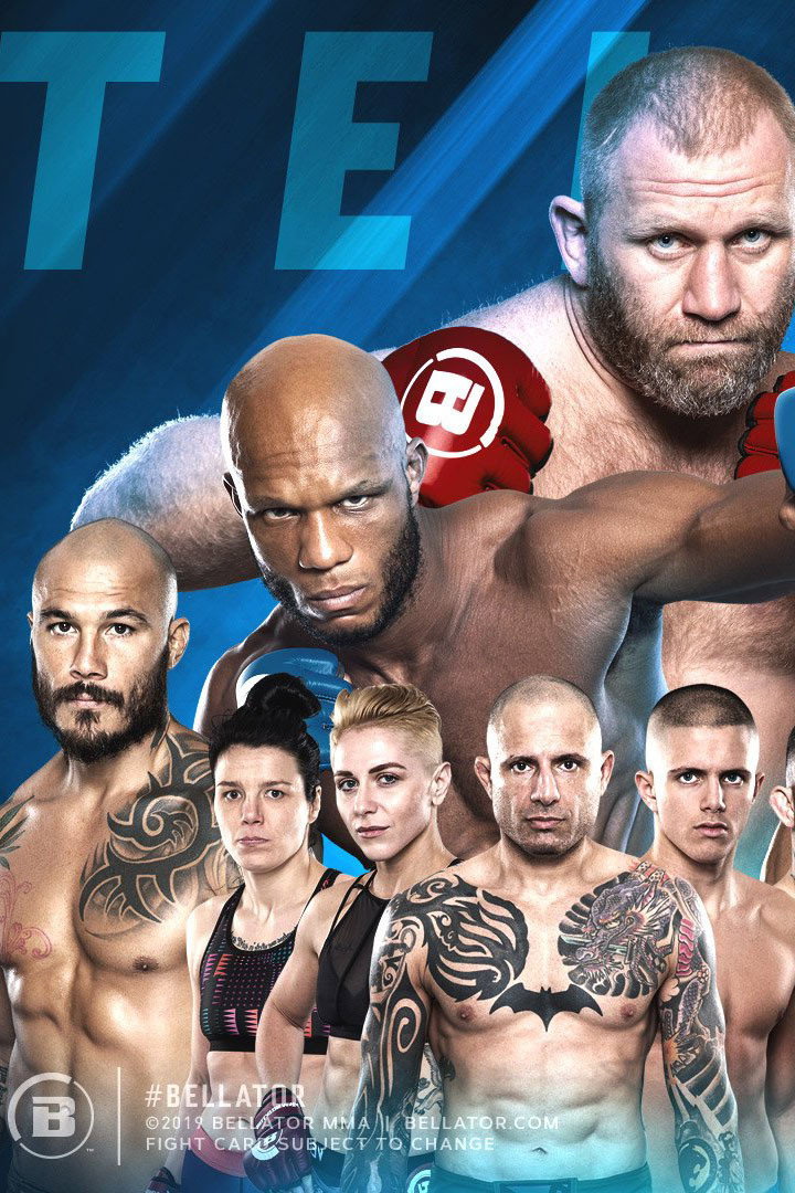 Bellator 234: Kharitonov vs. Vassell (2019) poster