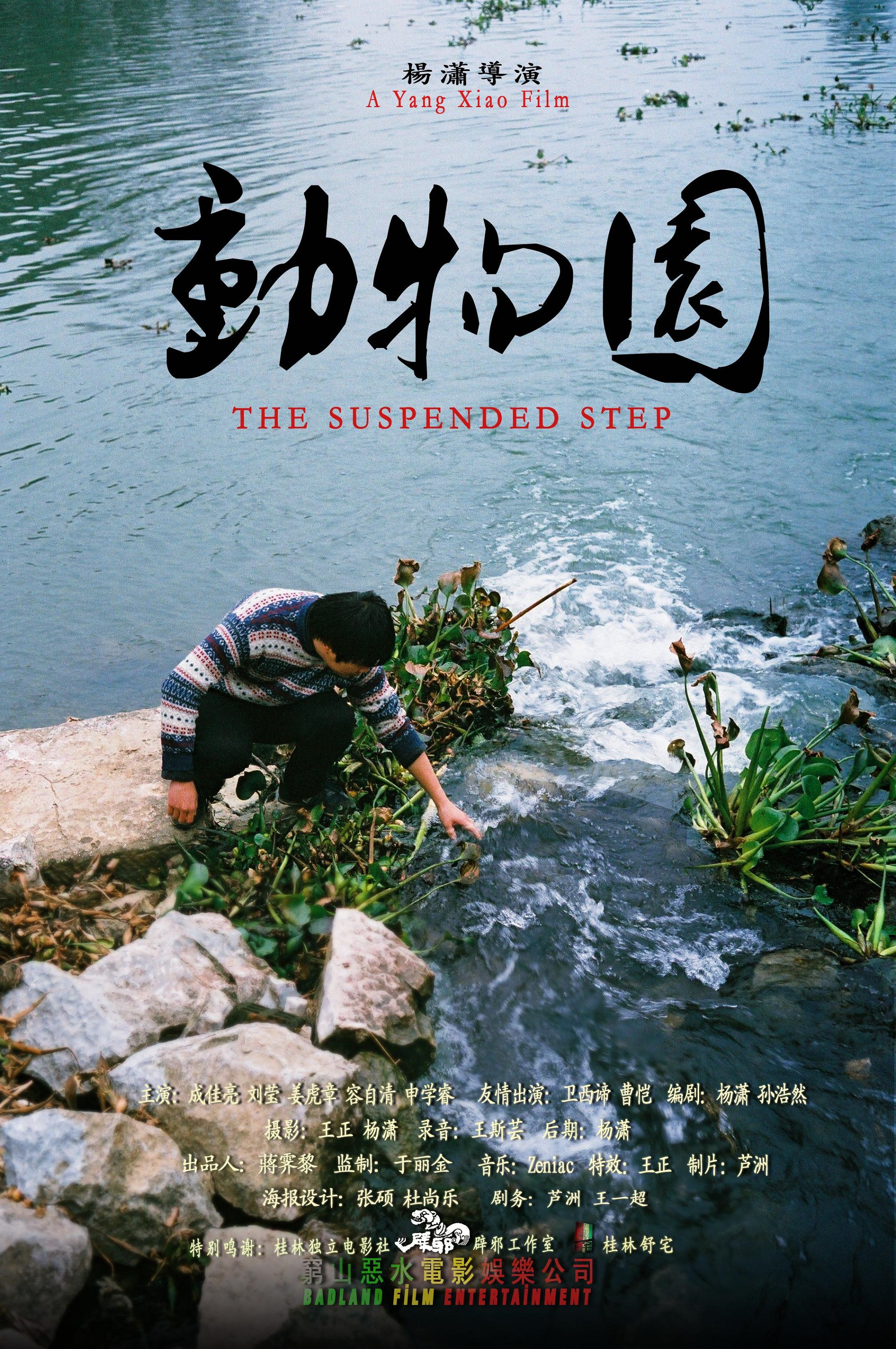The Suspended Step (2013) poster