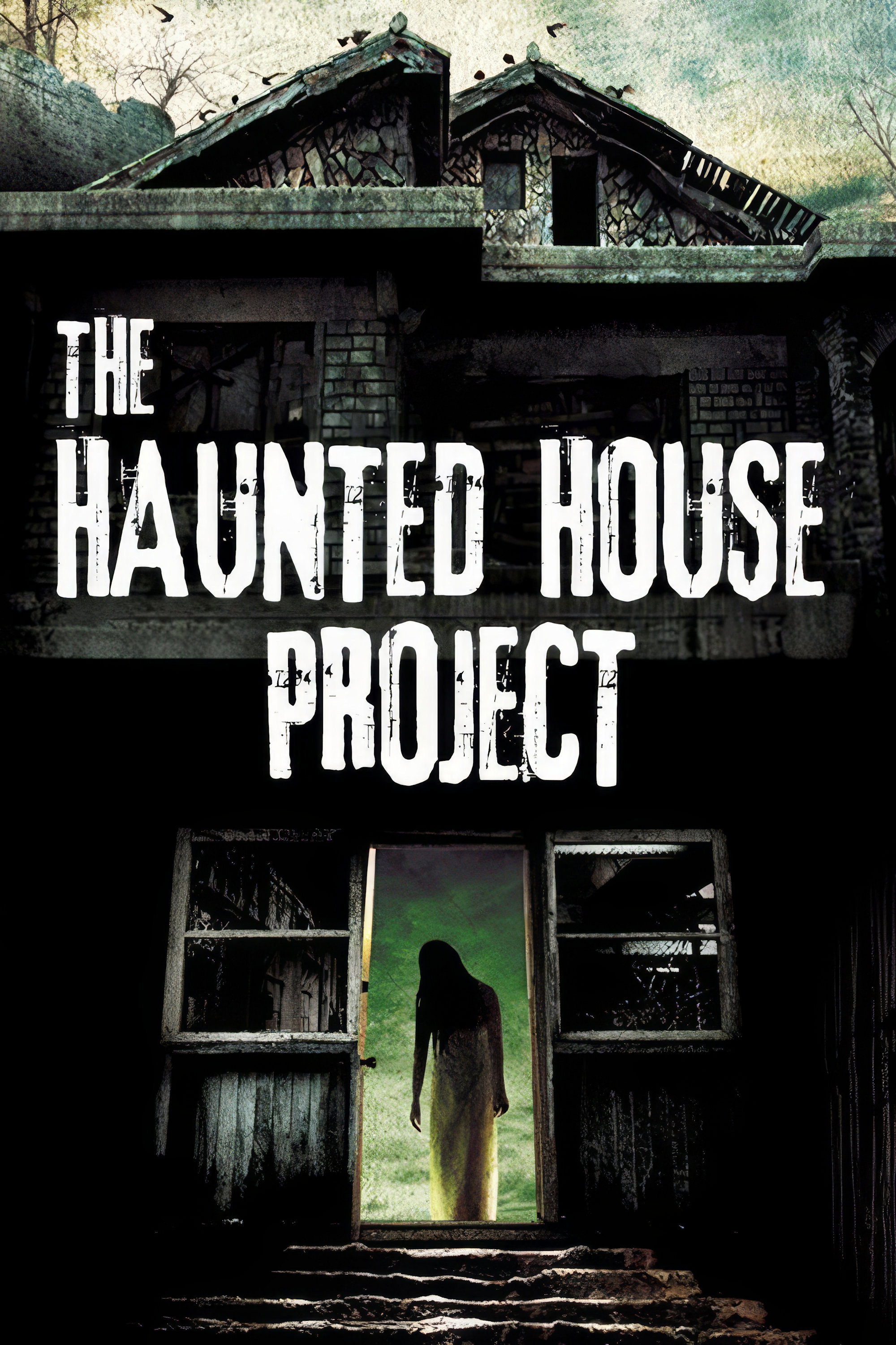 The Haunted House Project (2010) poster