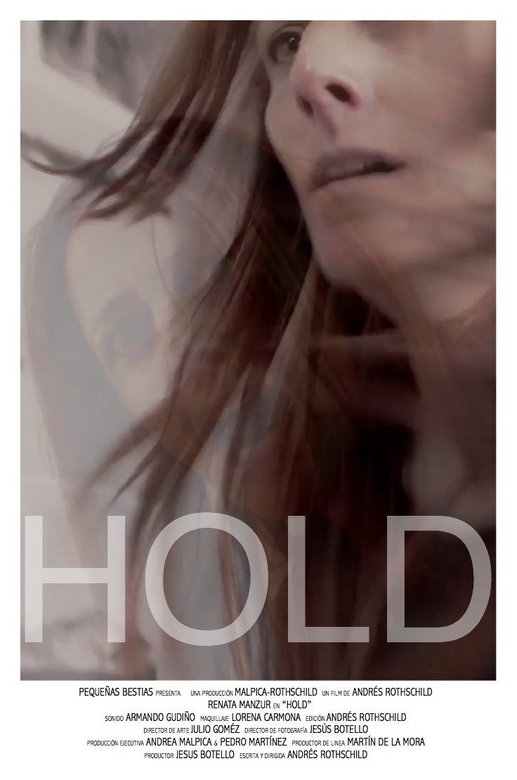 Hold (2017) poster